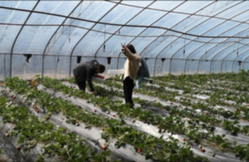 1637570791544389.jpg 111.jpg