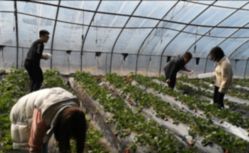 1637570810203780.jpg 22.jpg