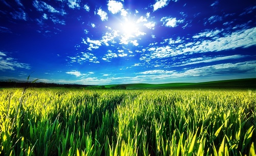 1645419984165436.png image.png