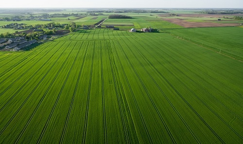 1646637797129399.png image.png