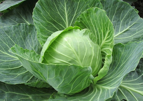 1647588657136509.png image.png