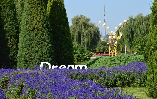 1648104937182038.png image.png