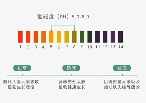 1648535320151920.png image.png