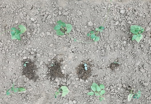 1658806982603689.png image.png