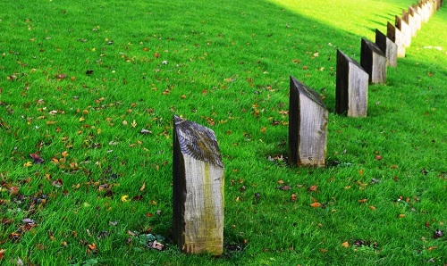 1658976381880002.png image.png