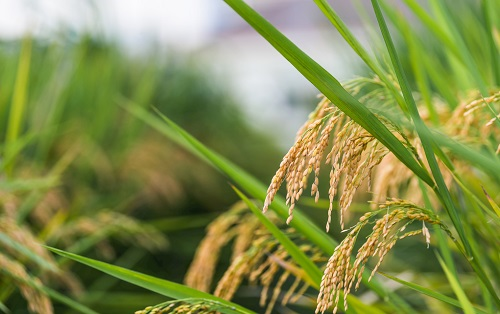 1661134524169349.png image.png