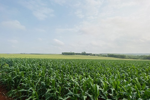 1661311891136028.png image.png