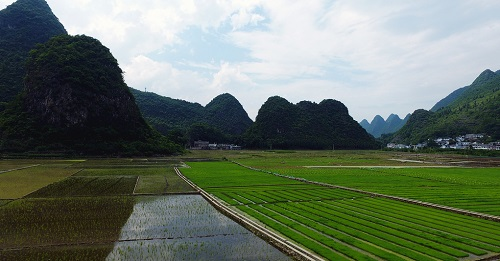 1661916139588173.png image.png