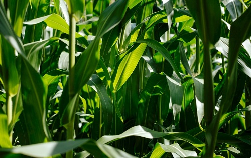 1662360343285128.png image.png