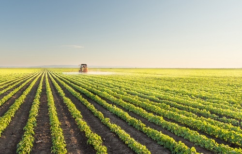 1663126947178267.png image.png