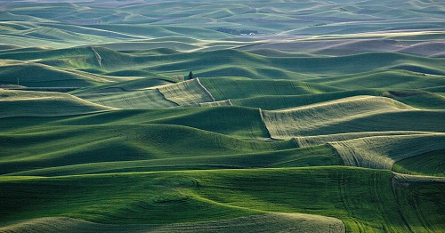 1669358280175160.png image.png