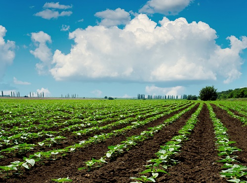 1671089155192253.png image.png