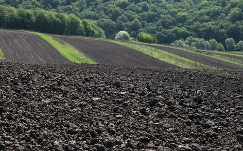 1672987159867081.png image.png