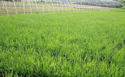 1673850157744030.png image.png