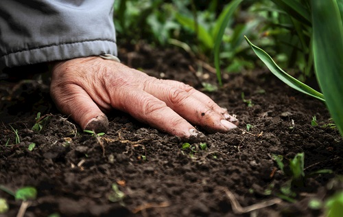 1673937113415246.png image.png