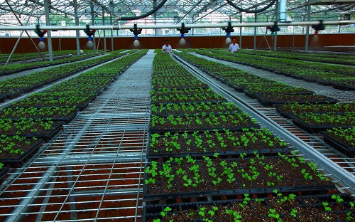 1674975859695247.png image.png