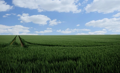 1675231470188560.png image.png