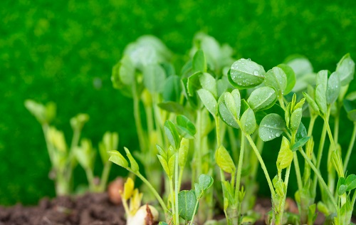 1675740640112172.png image.png