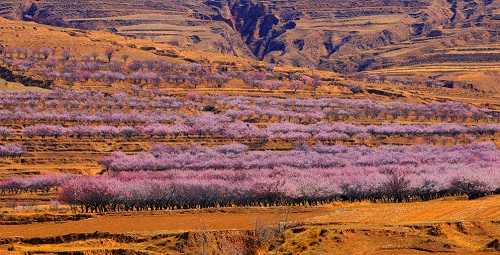 1676008225351855.png image.png