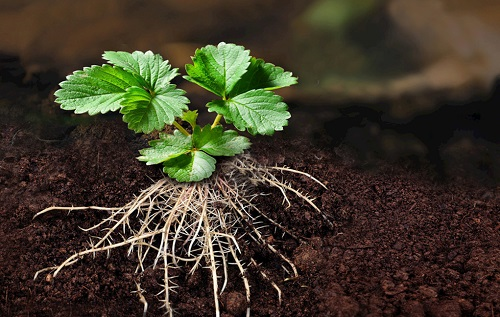 1676268881148894.png image.png