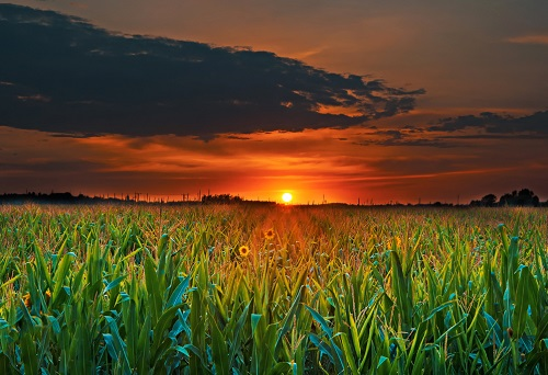 1676442373108861.png image.png