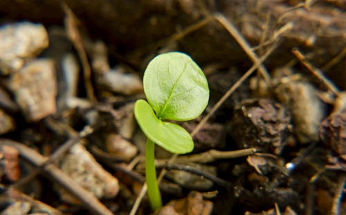 1677052181131954.png image.png