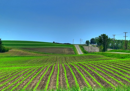 1677138675798048.png image.png