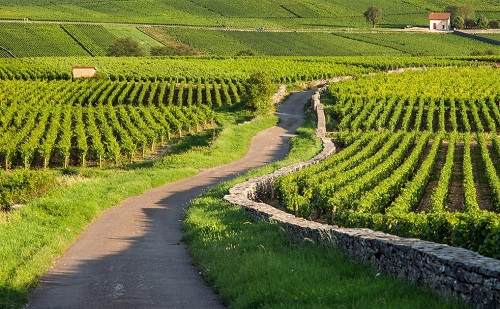 1677736409856466.png image.png