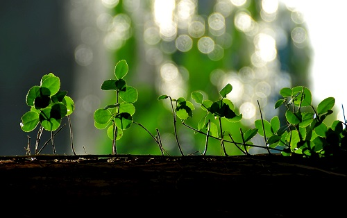 1678082311186475.png image.png