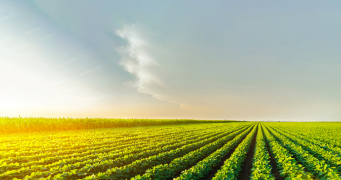 1681365175483679.png 農業(yè)儀器