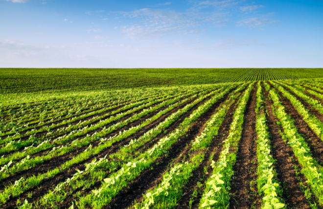 1682477051132246.png 1682477051132246.png