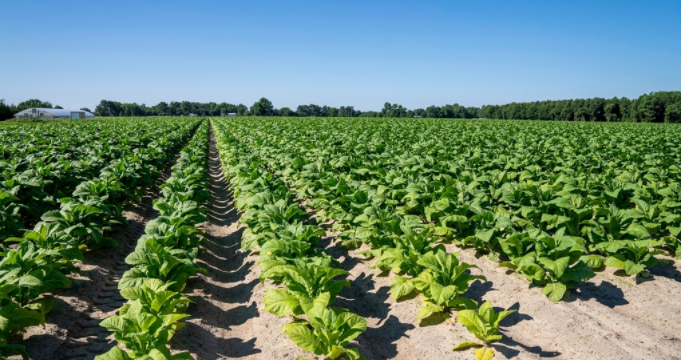 1684726515196400.png 1684726515196400.png