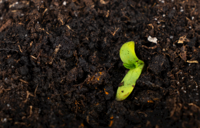 1684807647174416.png 土壤養(yǎng)分測(cè)試儀